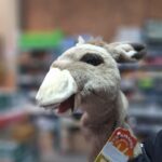 Titere burro